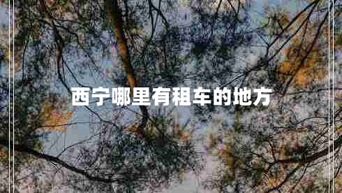 西寧哪里有租車的地方