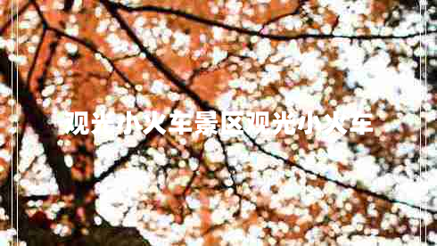 觀光小火車景區(qū)觀光小火車 觀光小火車景區(qū)觀光小火車