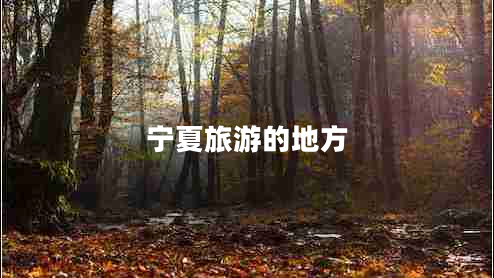 寧夏旅游的地方