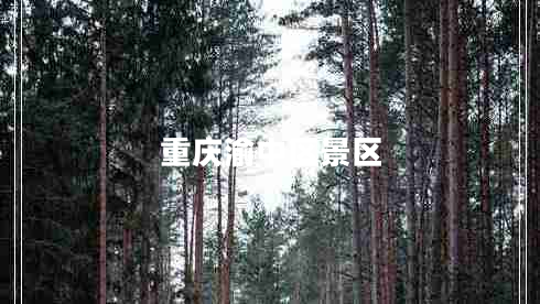重慶渝中區(qū)景區(qū) 重慶渝中區(qū)景區(qū)
