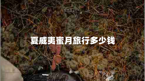 夏威夷蜜月旅行多少錢