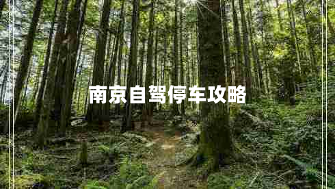 南京自駕停車攻略