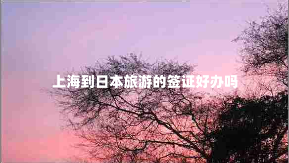 上海到日本旅游的簽證好辦嗎 上海到日本旅游的簽證好辦嗎
