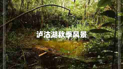 瀘沽湖秋季風(fēng)景 瀘沽湖秋季風(fēng)景