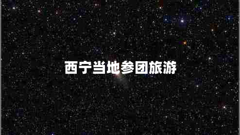 西寧當(dāng)?shù)貐F(tuán)旅游 西寧當(dāng)?shù)貐F(tuán)旅游