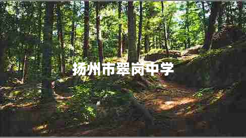 揚州市翠崗中學 揚州市翠崗中學