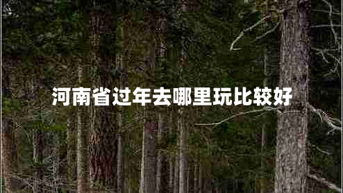 河南省過年去哪里玩比較好 河南省過年去哪里玩比較好