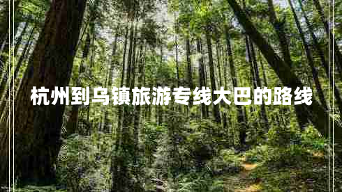 杭州到烏鎮(zhèn)旅游專線大巴的路線 杭州到烏鎮(zhèn)旅游專線大巴的路線