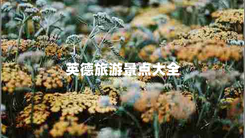 英德旅游景點(diǎn)大全 英德旅游景點(diǎn)大全