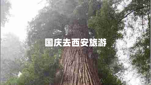 國(guó)慶去西安旅游 國(guó)慶去西安旅游