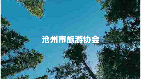 滄州市旅游協(xié)會