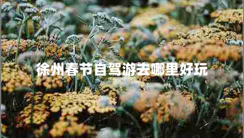 徐州春節(jié)自駕游去哪里好玩