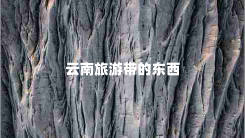 云南旅游帶的東西 云南旅游帶的東西