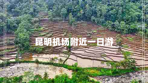 昆明機(jī)場附近一日游 昆明機(jī)場附近一日游