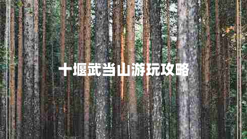十堰武當山游玩攻略