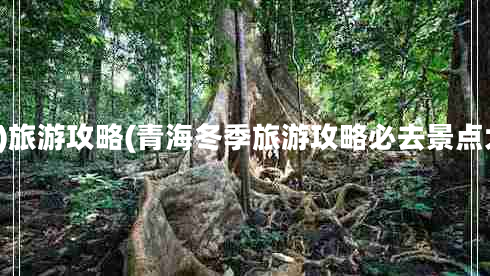 1月)旅游攻略(青海冬季旅游攻略必去景點(diǎn)大全