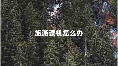 旅游誤機(jī)怎么辦 旅游誤機(jī)怎么辦