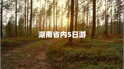 湖南省內5日游