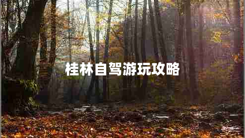 桂林自駕游玩攻略 桂林自駕游玩攻略