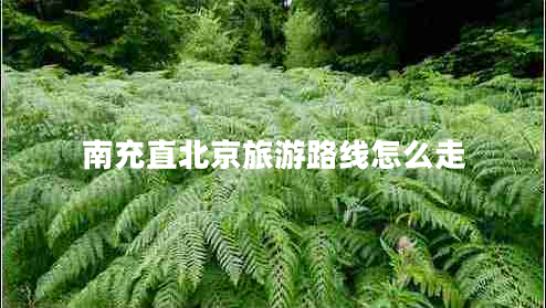 南充直北京旅游路線怎么走 南充直北京旅游路線怎么走