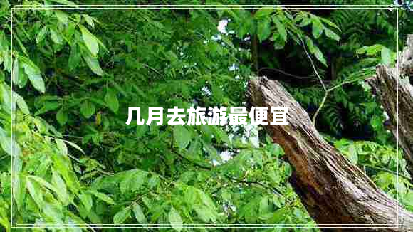 幾月去旅游最便宜 幾月去旅游最便宜