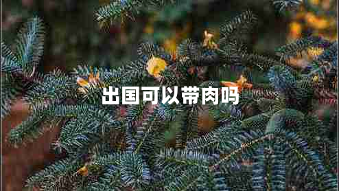 出國可以帶肉嗎