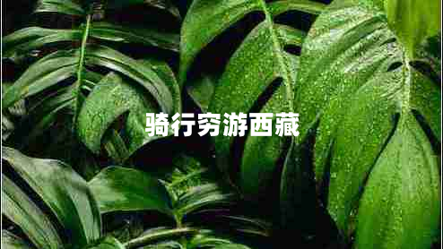 騎行窮游西藏 騎行窮游西藏