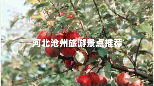 河北滄州旅游景點推薦
