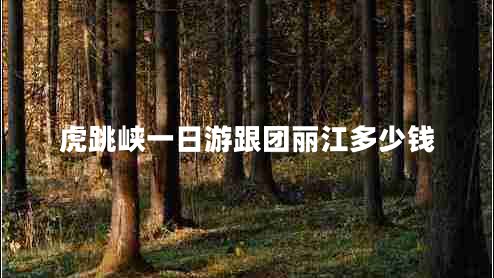 虎跳峽一日游跟團(tuán)麗江多少錢(qián) 虎跳峽一日游跟團(tuán)麗江多少錢(qián)