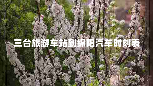 三臺旅游車站到綿陽汽車時刻表