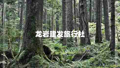 龍巖建發(fā)旅行社 龍巖建發(fā)旅行社