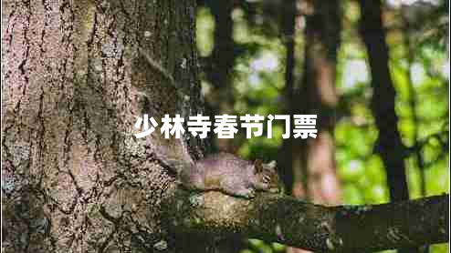 少林寺春節(jié)門票 少林寺春節(jié)門票