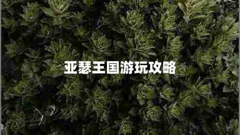 亞瑟王國游玩攻略 亞瑟王國游玩攻略