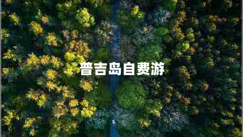 普吉島自費游