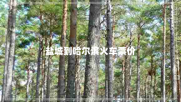 鹽城到哈爾濱火車票價