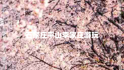 石家莊平山李家莊游玩 石家莊平山李家莊游玩