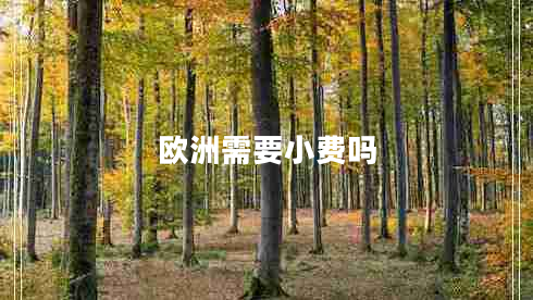 歐洲需要小費(fèi)嗎