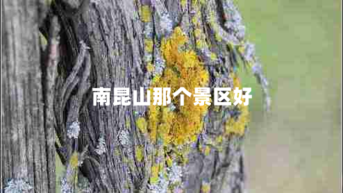 南昆山那個景區(qū)好