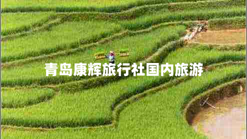 青島康輝旅行社國內(nèi)旅游