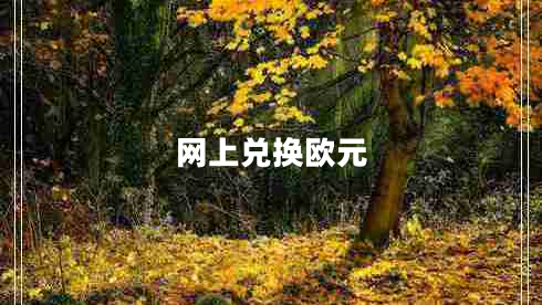 網(wǎng)上兌換歐元 網(wǎng)上兌換歐元