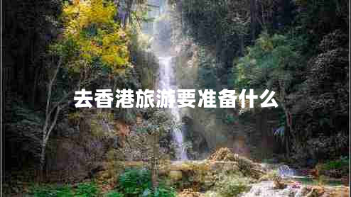 去香港旅游要準(zhǔn)備什么