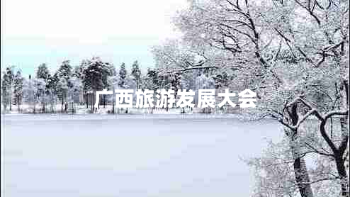 廣西旅游發(fā)展大會