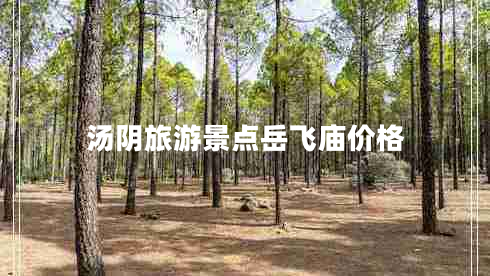 湯陰旅游景點(diǎn)岳飛廟價(jià)格 湯陰旅游景點(diǎn)岳飛廟價(jià)格