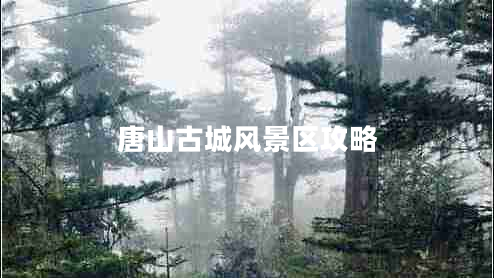 唐山古城風(fēng)景區(qū)攻略 唐山古城風(fēng)景區(qū)攻略
