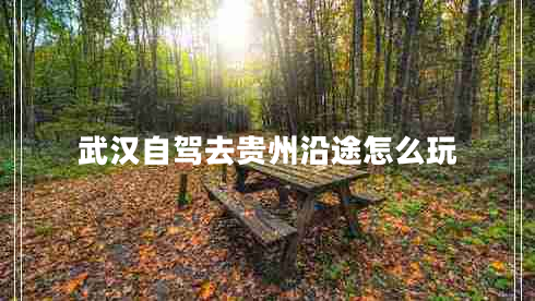 武漢自駕去貴州沿途怎么玩