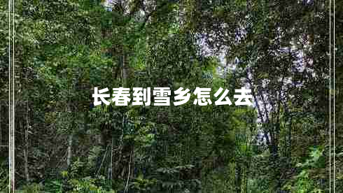 長春到雪鄉(xiāng)怎么去 長春到雪鄉(xiāng)怎么去