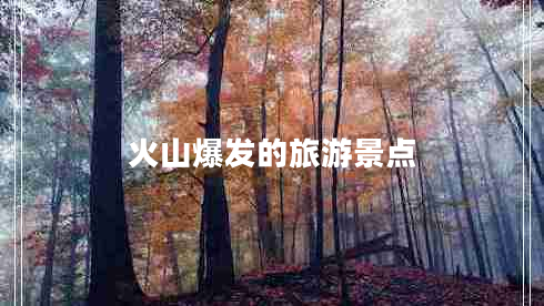 火山爆發(fā)的旅游景點