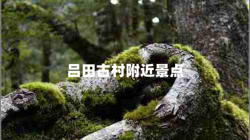 呂田古村附近景點 呂田古村附近景點