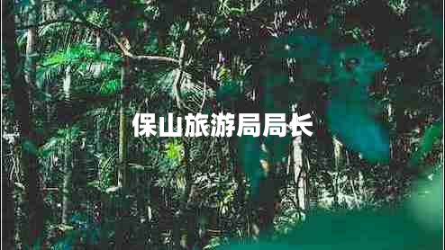 保山旅游局局長 保山旅游局局長