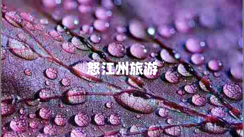 怒江州旅游 怒江州旅游